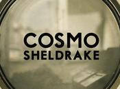 clip Moss Cosmo Sheldrake, colosse pieds d'argile.